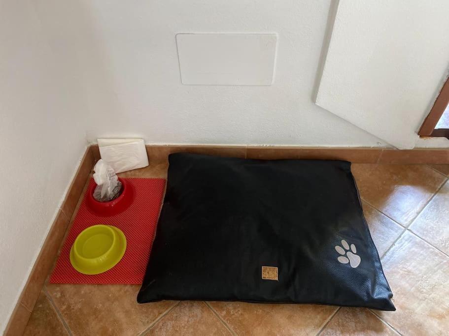 Casa Gina Leilighet Porto Torres Eksteriør bilde